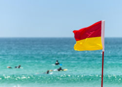 Image beachflags.jpg