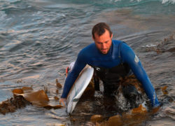 Image kelp-surfer.jpg