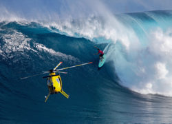 Image oceanwarrior.jpg