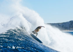 Image wslantidoping.jpg