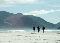 Image streetsurfers.jpg