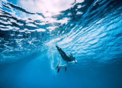 Image the-summer-surf-gear-guide-2020.jpg