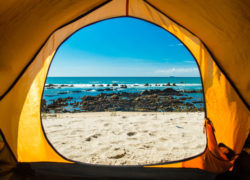 Image thalassophile.jpg